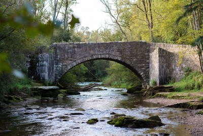Stone Arch Bridge over Forest River