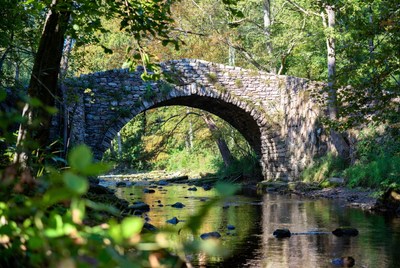 Stone Arch Bridge over Forest Stream