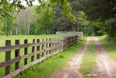 Wooden fence along rural dirt path
