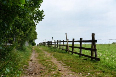 Wooden fence along grassy path