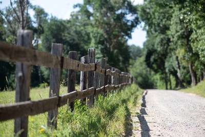 Wooden fence along gravel path