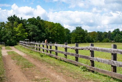 Wooden fence along dirt path