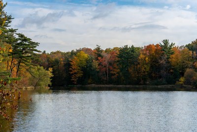 Autumn Forest Lake Reflection