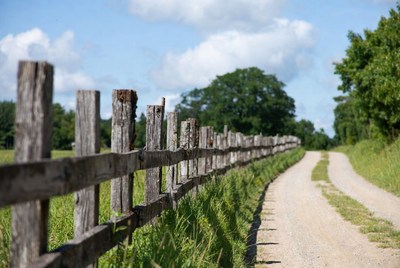 Wooden fence along rural dirt path