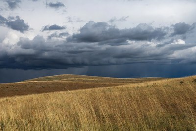 Stormy Clouds Over Golden Grassland