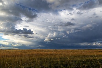 Dramatic stormy clouds over golden grassland