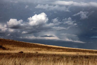 Dramatic Clouds over Golden Grass Hills