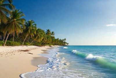 Tropical beach with palm trees
