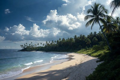 Tropical beach with palm trees
