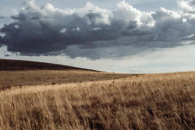 Stormy Clouds over Golden Grass Hills