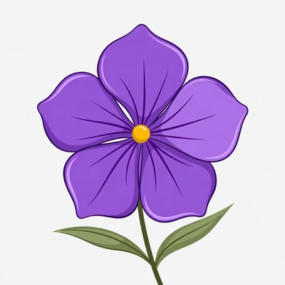 Purple flower with yellow center