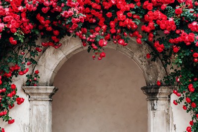 Red Bougainvillea Covered Stone Archway