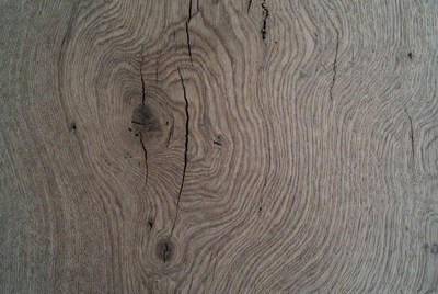 Close-up Oak Wood Grain Texture