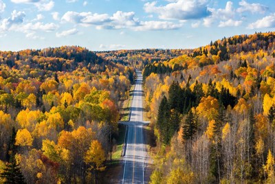 Autumn Forest Road Aerial View