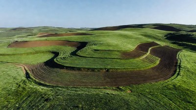 Aerial View Curved Farm Fields