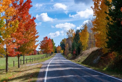 Autumn road through colorful trees