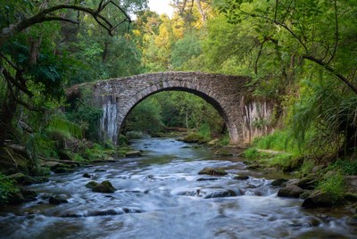 Stone Arch Bridge over Forest River