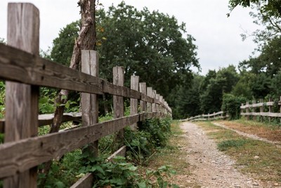 Wooden fence along dirt path
