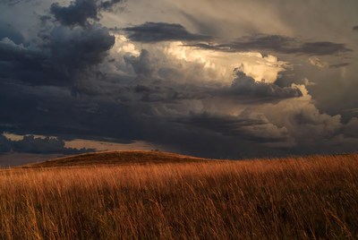 Dramatic Clouds over Golden Grass Field