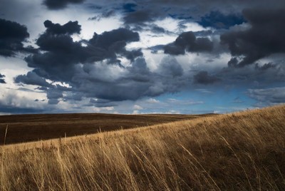 Dramatic Clouds over Golden Grass Field