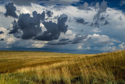 Golden Grass Prairie Under Stormy Skies