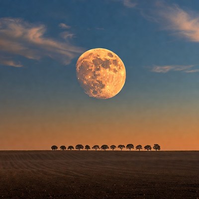 Full Moon Over Silhouetted Trees
