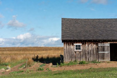 Rustic barn in golden field