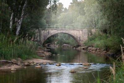 Stone Arch Bridge over Forest River