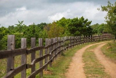 Wooden Fence Along Dirt Road