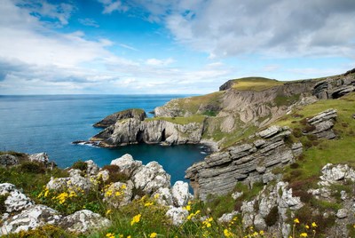 Cliff Coastline with Ocean and Wildflowers