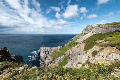 Cliff Edge Overlooking Ocean with Yellow Flowers