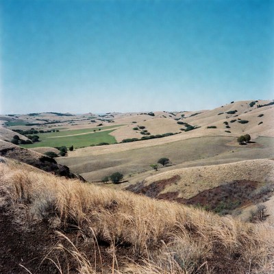 Rolling Hills Landscape with Green Fields
