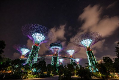 Lit Supertrees at Gardens by the Bay