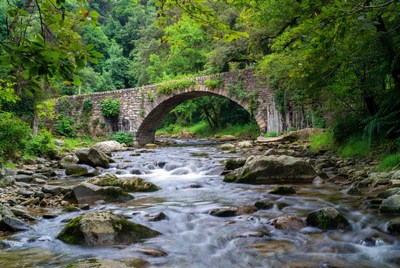 Stone arch bridge over forest river