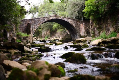 Stone Arch Bridge over Forest Stream