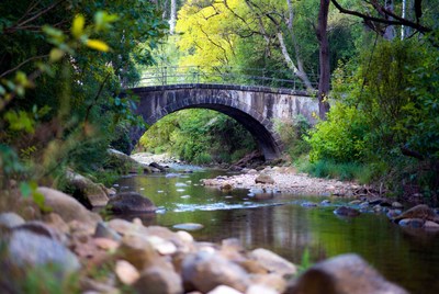 Stone Arch Bridge over Forest Stream