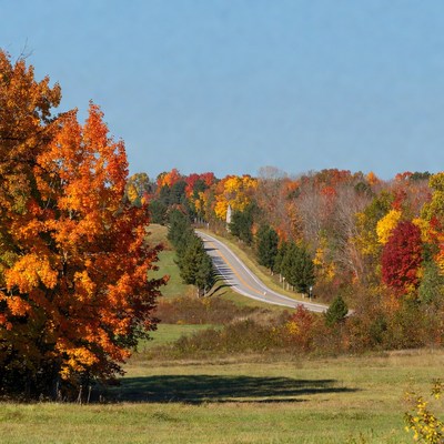 Winding road through autumn forest