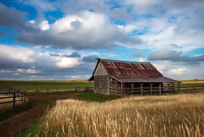 Rustic Barn in Grassy Field