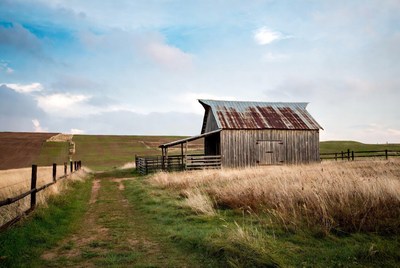 Rustic Barn with Corrugated Roof in Field