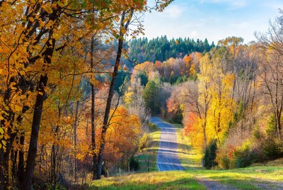 Winding Road Through Autumn Forest