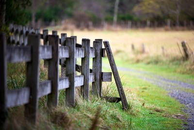 Rustic wooden fence along path