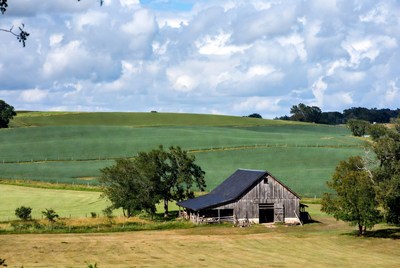 Old Barn in Green Rolling Hills