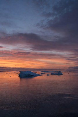 Icebergs in Arctic Sunset Ocean