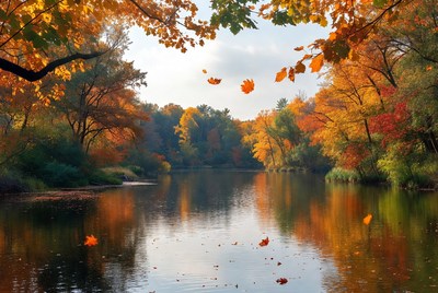 Autumn Trees Reflecting in Calm River