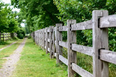 Wooden fence along green path
