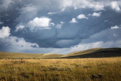 Dramatic Clouds over Golden Grassland Hills