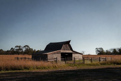Old Wooden Barn in Grassy Field