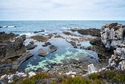 Rocky Coastline with Tidal Pools