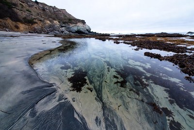 Shallow Kelp-Filled Tidal Pool Beach