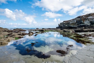 Ocean Tide Pool with Cliffs